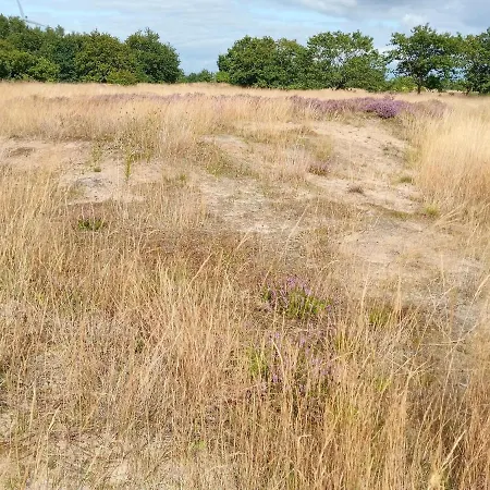 In Nahe Sylt * Neukirchen (Nordfriesland)